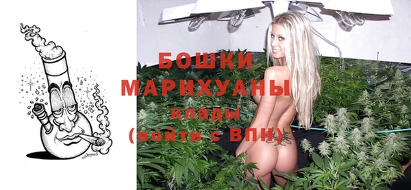 гидра Яранск