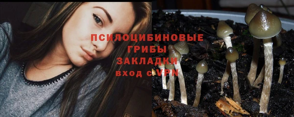 дмт Кинешма