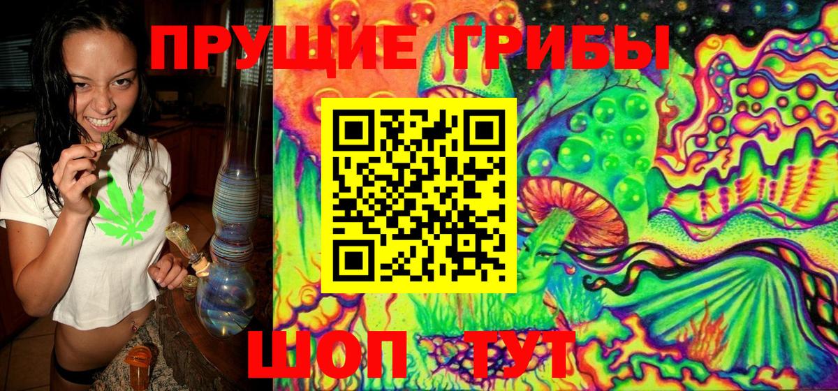 Псилоцибиновые грибы Psilocybe  Долгопрудный  Псилоцибиновые грибы Cubensis 