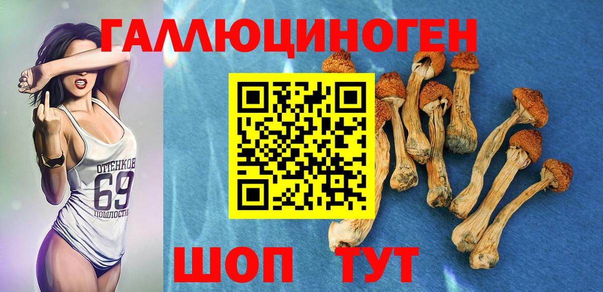Псилоцибиновые грибы GOLDEN TEACHER  Вход с VPN  Долгопрудный 
